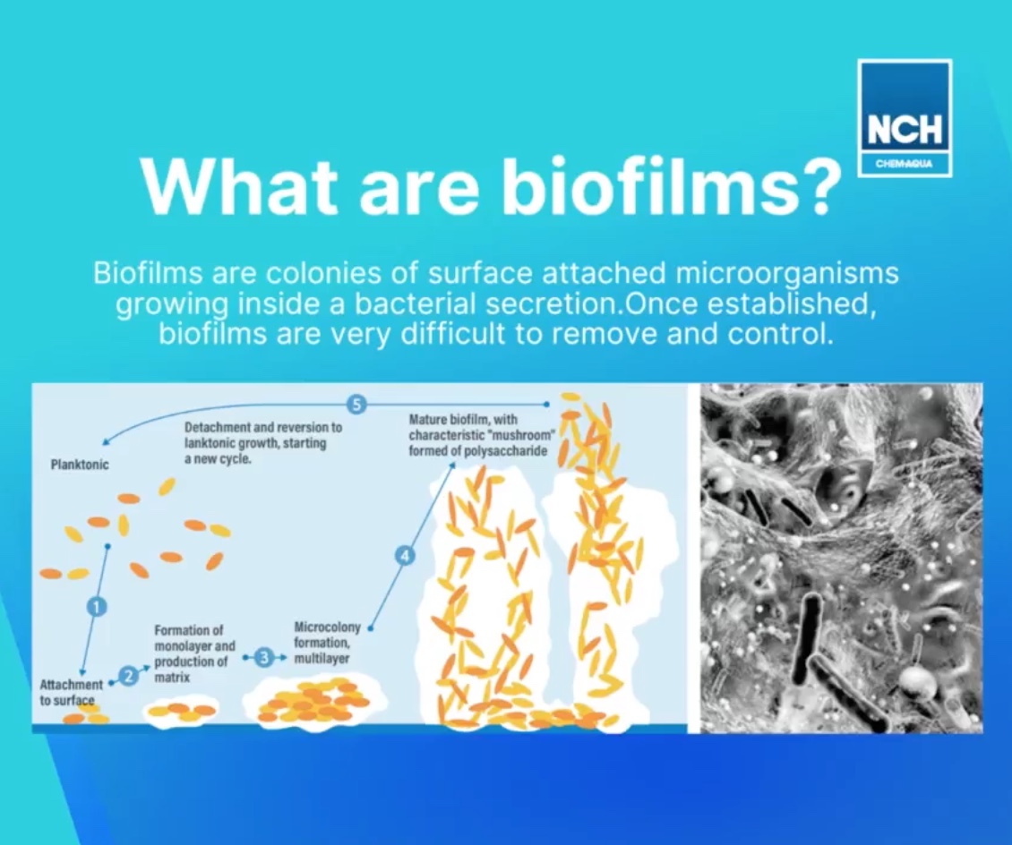 NCH Video What Are Biofilms